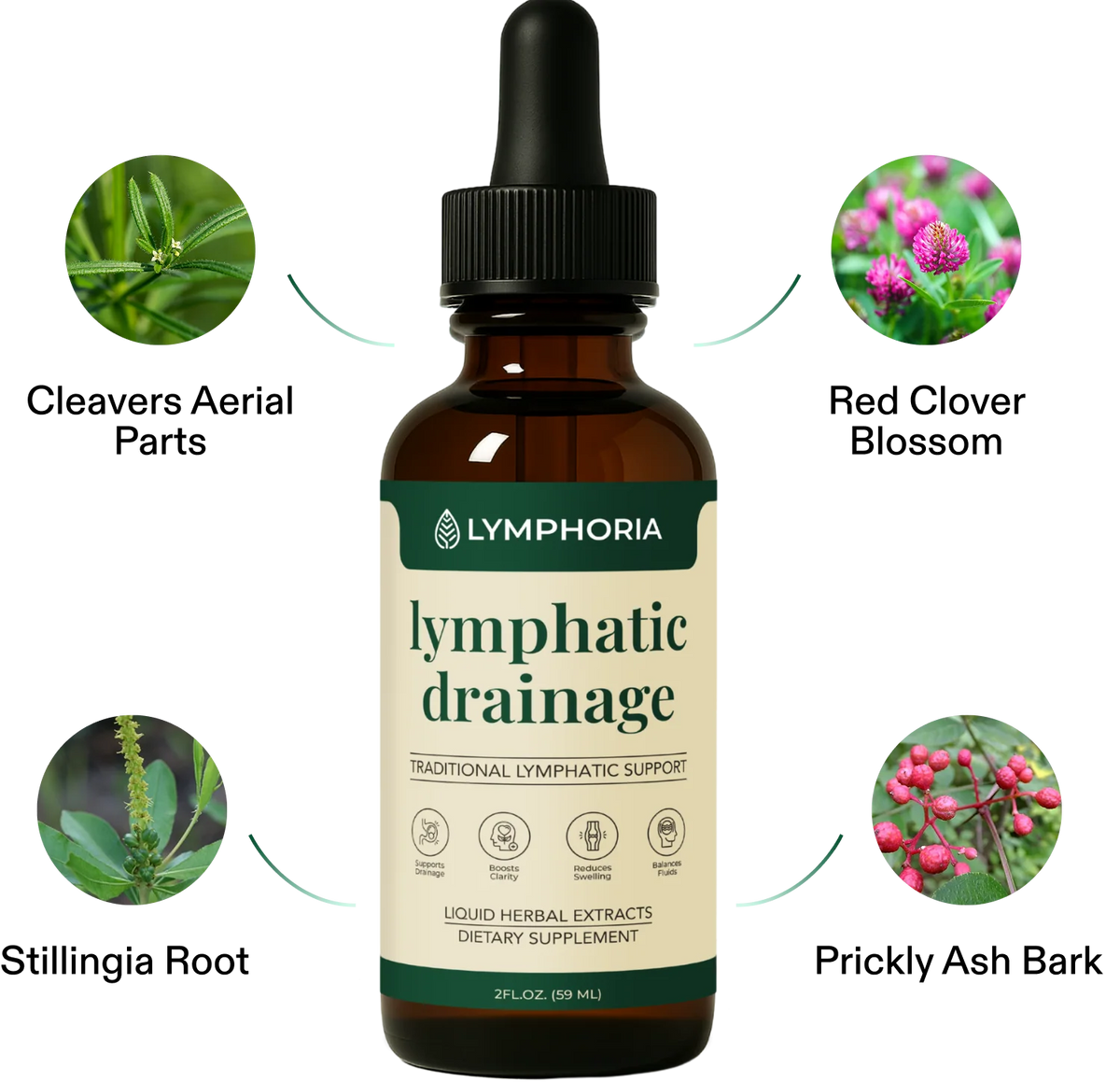 Lymphatic Detox Support System