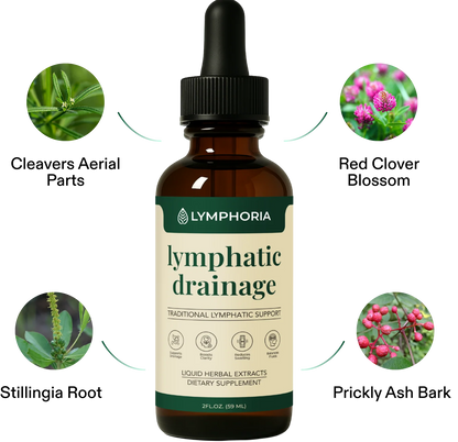 Lymphatic Detox Support System