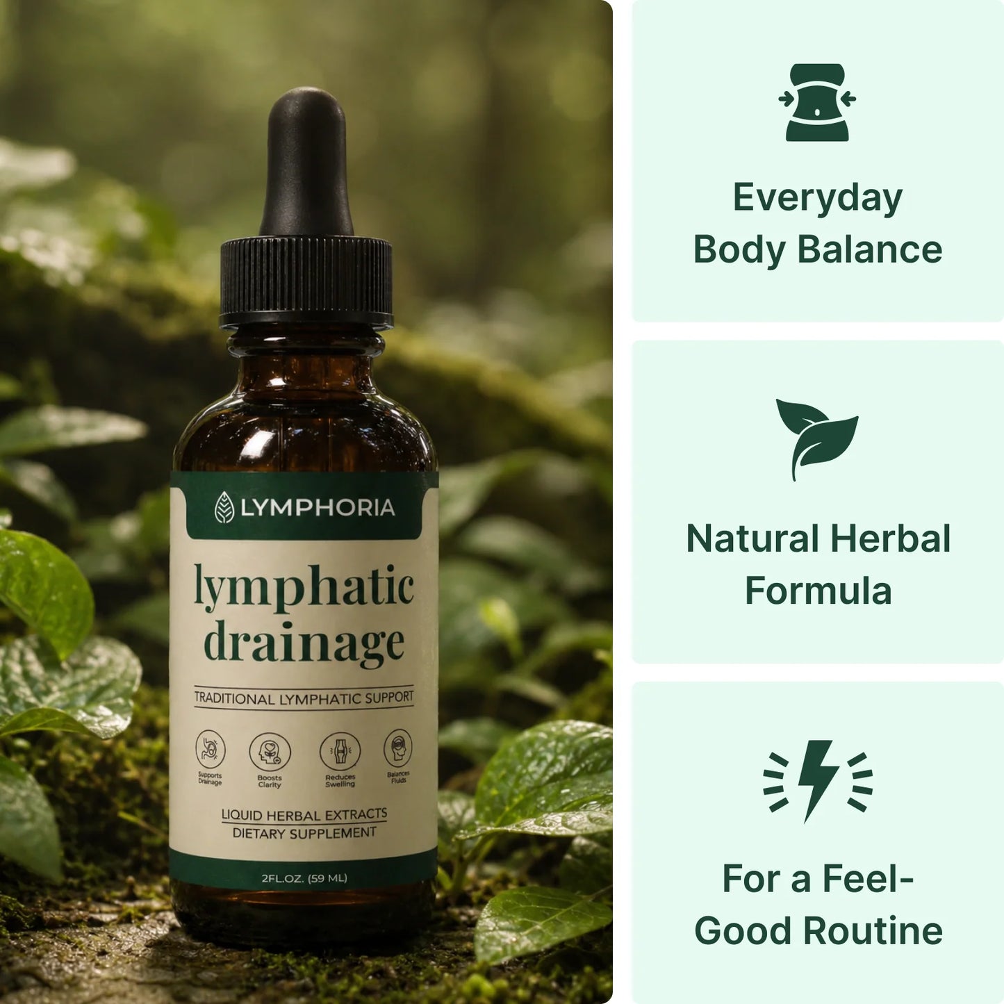 Lymphatic Detox Support System
