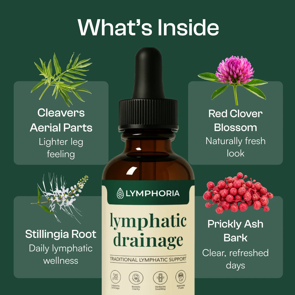 Lymphatic Detox Support System